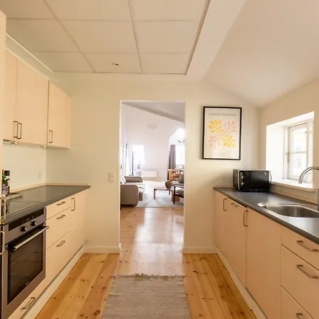 Light-filled 5br Near Tivoli & Stroget For 12 Apartment Kopenhagen